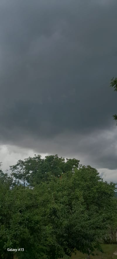 The image shows a view of dark, stormy clouds dominating the sky above a dense canopy of green trees. The foliage appears lush and full, indicating a temperate climate. In the lower left corner of the image, the text "Galaxy A13" is visible, suggesting this is a photograph taken with a Samsung Galaxy A13 phone. There are no people or animals present in the image, and no specific landmarks are identifiable. The environment appears to be natural, possibly a rural area or park.