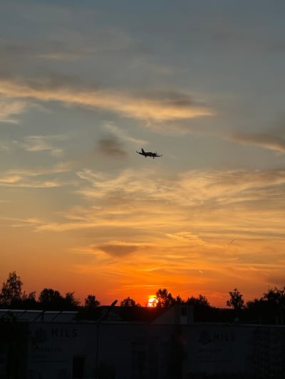 The image captures a vibrant sunset or sunrise over Otopeni, Romania, painting the sky with rich orange and yellow hues that blend into lighter blues and grays. Wispy clouds stretch across the frame, illuminated by the low sun. A small, dark silhouette of an aircraft, possibly a propeller plane or biplane, is prominently featured in the mid-ground, flying against the radiant backdrop. The sun itself is visible as a bright orange disk, partially obscured by a line of silhouetted trees on the horizon. Below the horizon, dark trees and building structures are silhouetted against the bright sky. A large building on the right side displays multiple signs. Visible text includes "HILS TITANIUM," "0310 052 174," "www.hils.ro," and "B-dul Theodor Pallady 45." Another sign reads "HILS SUNRISE" with the same phone number, website, and "B-dul Theodor Pallady 57A." The scene portrays a serene and picturesque twilight moment.