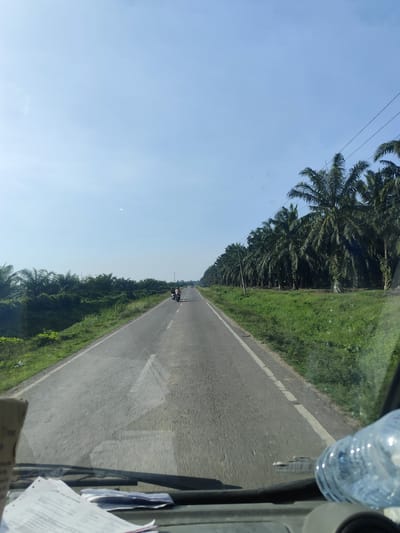 The image captures a first-person perspective from inside a vehicle, looking out onto a long, straight asphalt road. The scene depicts a rural or agricultural landscape, with abundant palm trees lining both sides of the road. On the right, a dense plantation of what appear to be oil palms stretches into the distance, forming a uniform green wall against the bright sky. The left side of the road also features palm trees and thick green foliage.
In the middle distance on the road, two motorcycles are visible, with at least one carrying two riders. Further ahead, faint outlines of other vehicles can be discerned, indicating traffic. The sky above is a clear, bright blue, suggesting sunny weather. A very subtle, hazy circular patch, possibly a lens flare or a faint cloud, is visible in the sky.
The immediate foreground, seen through the vehicle's windshield, shows parts of the dashboard. On the left, there's a stack of papers, possibly documents or receipts. On the right, a clear plastic water bottle is positioned on the dashboard. A fragment of a cardboard box is also visible on the far left. The perspective suggests the vehicle is in motion, driving along the road. The setting, particularly the extensive palm plantations, strongly aligns with the provided location context of Cotgirek, Indonesia, a region known for such agricultural landscapes. There is no clearly readable text visible in the image.