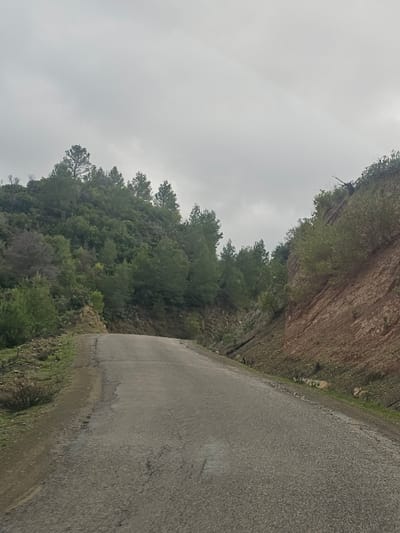 The image displays a rural, ascending asphalt road in Moqrisset, Morocco, under an overcast sky. The road, showing signs of cracking and wear, extends from the foreground and curves slightly left into the distance. To the left of the road, a steep, green hillside is densely covered with various trees, primarily conifers, and undergrowth. To the right, an abrupt, reddish-brown earthen bank or cut, featuring exposed soil and sparse green shrubs, rises parallel to the road. The sky above is uniformly grey, indicating heavy cloud cover. No individuals, vehicles, or animal life are present in the scene, which depicts a natural, rugged environment.
