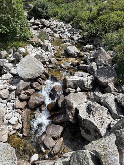 A high-angle, vertical shot captures a natural scene of a rocky mountain stream flowing through a landscape of large boulders and lush green vegetation. The water appears clear with a golden hue, creating small rapids as it navigates the uneven terrain. Sunlight casts shadows on the rocks, suggesting it is daytime, possibly mid-morning or afternoon, with bright, clear weather.
The surrounding environment is dominated by large, grey, and brown rocks of various sizes, some covered in lichen or moss. Dense green bushes and trees line the edges of the stream and extend up the slopes. The scene conveys a sense of wilderness and untouched nature. There is no visible text or human presence in the image. The location context of Hospental, Switzerland, further places the scene in a mountainous, alpine region known for its natural beauty.