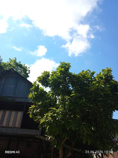 The image shows a tree with lush green leaves against a bright blue sky with scattered white clouds. To the left of the tree, a portion of a building with a metal roof and a closed door is visible. The lower part of the image shows some wooden structures and a woven material. Text overlays indicate "REDMI A3" in the bottom left corner and a date and time "23.06.2026 10:00" in the bottom right corner. The scene depicts an outdoor environment, possibly a residential area, with natural elements and man-made structures.