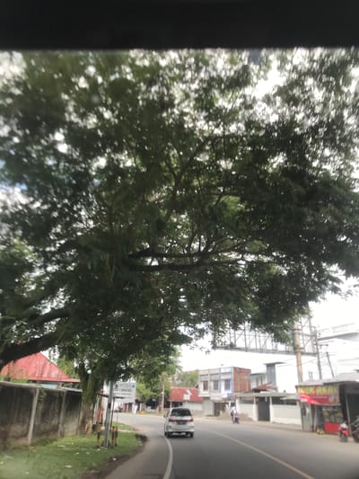 The image, taken from inside a vehicle, shows a street scene in Peub Lueng Nibong, Indonesia. A large tree dominates the foreground, partially obscuring the view. Beyond the tree, a road curves to the right. A white car is visible on the road. On the right side of the road, buildings and businesses line the street. A billboard is visible among the buildings. A motorcycle and a person are on the street. There is a concrete wall on the lower right side of the picture. Grass grows alongside the road.