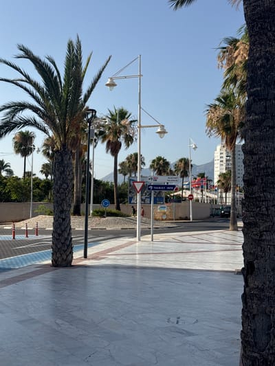 The image depicts a sunny street scene in l'Alfàs del Pi, Spain, characterized by a wide pedestrian walkway paved with light-colored marble tiles. Several palm trees are prominent, with one large, textured palm trunk dominating the foreground on the right side. A paved path, marked with blue and white pedestrian crossing lines and orange bollards, runs parallel to the walkway on the left. In the mid-ground, streetlights with white globes stand on tall poles. A signpost indicates "N-332" and "ALACANT VALENCIA" along with "TOURIST INFO" and several national flags, including Norway's. Behind the signs, a low stone wall separates the walkway from an area with more palm trees and buildings, including a tall white building in the distance. Mountains are visible on the horizon under a clear blue sky. A few people are casually walking on the path, and a dark SUV and several electric scooters are parked near the wall. The overall environment suggests a warm, coastal urban setting.