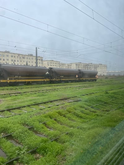 This image, taken in Berrechid, Morocco, presents a side view of an active railway line under an overcast sky. A long train, comprising multiple dark-colored tanker cars, dominates the midground, appearing to be stationary or moving slowly on the tracks.
To the immediate right of the train and tracks, the landscape is covered with lush, vibrant green vegetation, possibly planted crops or wild growth, arranged in distinct, organized rows running parallel to the railway. This greenery partially obscures the ballast and sleepers of the tracks.
Above the train, a dense network of overhead electrical wires, characteristic of an electrified railway's catenary system, stretches across the frame against a uniformly light grey, cloudy sky. Several small birds are visible perched on these wires.
In the background, behind the train and wires, a row of multi-story, light-colored buildings lines the horizon. These structures appear to be residential or commercial buildings, exhibiting numerous windows and a somewhat weathered facade, indicating an urban or semi-urban setting adjacent to the railway.
The time of day is daytime, characterized by the soft, diffused light from the cloudy sky, suggesting either an overcast day or early morning/late afternoon conditions. The scene evokes a sense of transit or industrial activity amidst natural growth and urban development. No visible text is present in the media file.