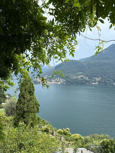 This image captures a scenic view of Lake Como in Moltrasio, Italy, from a verdant hillside vantage point. The foreground is dominated by lush green foliage, with several trees and their leaves obscuring parts of the background. Through the leaves, a wide expanse of the deep blue lake is visible, its surface rippling gently, suggesting a calm day.

In the mid-ground, the steep, tree-covered slopes of the mountains rise dramatically from the lake's edge. Nestled along the shoreline, a picturesque Italian village or town can be seen, with buildings clustered together and stretching upwards along the hillside. The architecture appears to be traditional, with terracotta roofs and light-colored facades.

Several boats are dotted across the lake, including what appear to be motorboats leaving wakes, indicating some activity on the water. One small sailboat is also visible in the distance. The sky above is a soft blue with a few wispy clouds, suggesting it is daytime, likely late morning or afternoon, with fair weather.

The overall impression is one of tranquility and natural beauty, enhanced by the charming human settlement integrated into the landscape. The perspective from the hillside, looking down towards the lake and the town, provides a sense of depth and grandeur. The abundance of greenery in the foreground and on the mountainsides points to a warm, possibly Mediterranean climate. There is no visible text in the image.