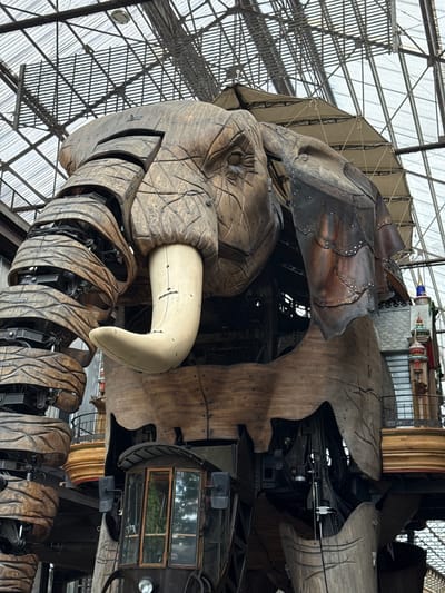 This is a low-angle, full-shot photograph of the Great Elephant of Nantes, an enormous mechanical elephant sculpture located in the Machines de l'île park in Nantes, France. The elephant, constructed from wood and metal, is shown from its head down to its legs. Its large, carved wooden head features realistic detailing, including visible eye sockets and a prominent, light-colored tusk. The elephant's trunk is curled downwards and to the left, with mechanical linkages visible beneath its segmented, wooden skin. Decorative, dark metal plates with rivet details adorn the area around its ears.
The elephant stands within a vast, glass-roofed industrial-style structure with visible metal beams and supports overhead, suggesting it is housed indoors in a large exhibition space or workshop. Below the elephant's head and body, structural supports, mechanical components, and a small control booth with wooden-framed windows are visible. A balcony or platform area with decorative wooden elements can be seen to the right of the elephant's head. The overall impression is of a massive, intricate, and functional piece of kinetic art within an expansive industrial setting.
