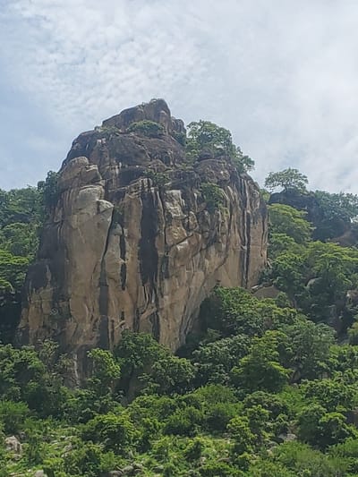 The image shows a steep, rocky cliff face overgrown with lush green vegetation. The cliff is predominantly made of light brown and grey rock, with visible layers and fissures indicating its geological formation. Darker, almost black streaks run vertically down parts of the rock, possibly due to water stains or mineral deposits. The top and sides of the cliff are densely covered in trees and bushes, creating a vibrant contrast with the stone. The vegetation appears healthy and abundant, with various shades of green.
The sky in the background is a pale blue, dotted with fluffy white clouds that suggest a bright, possibly sunny day. The overall lighting indicates it's daytime, likely late morning or afternoon given the brightness.
The scene evokes a sense of nature's grandeur and resilience, with the vegetation clinging tenaciously to the rugged terrain. There are no people or specific objects visible, focusing the attention entirely on the natural landscape. The image is captured from a slightly upward angle, emphasizing the height and imposing nature of the cliff.
The setting suggests a natural, perhaps somewhat remote, environment, possibly a mountainous or hilly region. The context of Dawaki, Nigeria, places this dramatic geological formation within a specific geographical area. The image does not contain any visible text.