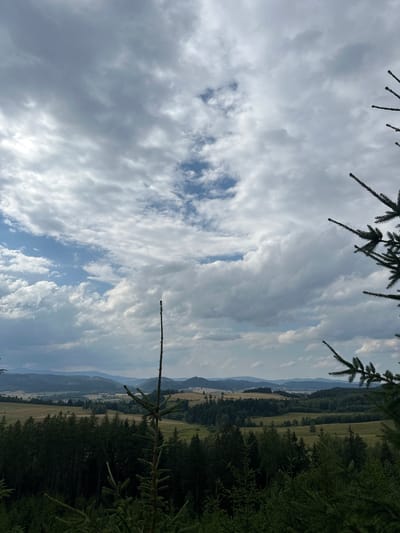 The image depicts a panoramic view of a rural landscape in Chełmsko Śląskie, Poland. The foreground is dominated by dark green coniferous trees, with the branches of a spruce tree prominently extending into the frame from the right side. A thin, bare tree trunk stands vertically in the mid-ground, breaking the dense forest line. Beyond the trees, rolling hills and valleys stretch into the distance, dotted with patches of yellow fields, dark green forests, and scattered buildings. The sky is a dramatic expanse of clouds, with patches of blue sky visible, illuminated by diffused sunlight. The overall impression is of a vast, tranquil natural setting.