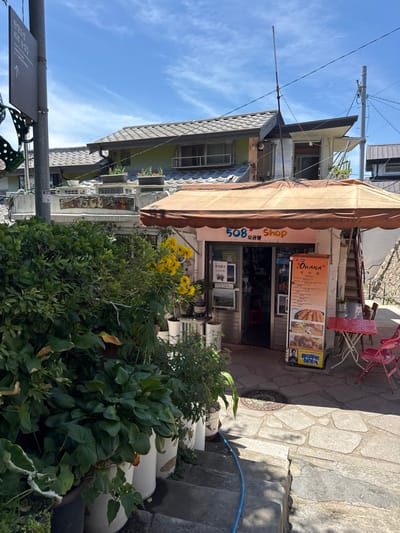 The image captures a sunlit, narrow, stone-paved alleyway located in 종로구 (Jongno-gu), South Korea, near the Hanyangdoseong (Seoul City Wall), as indicated by a directional signpost. The primary subject is a small commercial storefront, "508 Shop" (오공팔), positioned on the right side of the alley. This establishment features a white facade and is covered by a faded brown retractable awning. Its dark entrance displays a white sign advertising "Omija Juice" for 3,500 KRW. To the right of the entrance, a yellow vertical signboard displays "OHANA 식사" (Ohana Meals) with various food images and a menu list.
Adjacent to the shop's exterior, a small red metal table and two red folding chairs are set on the uneven stone pavers. Dense green foliage, including numerous potted plants and several bright yellow sunflowers, occupies the left foreground and extends towards the shop, partially obscuring its lower section. A blue garden hose is visible on the ground amidst the potted plants.
Behind the "508 Shop" and extending further into the background, a two-story building with a grey tiled roof and light yellow-green upper-level walls is visible, featuring windows and flower boxes on its facade. A tall, slender pole extends vertically from above the shop's awning towards the sky. On the far left, a black signpost points upwards with text identifying "한양도성 회오루정 방향" (Hanyangdoseong Hweoorujeong Direction). A utility pole with associated wiring is visible on the far right. The overhead sky is clear blue with minimal cloud cover, indicating bright daylight conditions. No individuals are present in the scene.