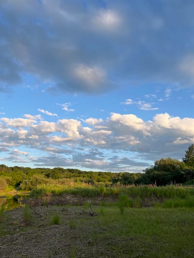 The image depicts a natural landscape with a body of water on the left, bordered by dense green foliage and a treeline in the background. The sky is partly cloudy with dramatic cumulus clouds, illuminated by warm, late-day sunlight. The foreground consists of dry grasses and some scattered debris, transitioning to lush green grass and reeds closer to the water's edge. No people or man-made structures are visible, suggesting a remote or undeveloped natural setting. The location is identified as Mayak, Russia, but the image itself offers no specific geographical markers to confirm this. The scene conveys a sense of serene, untouched wilderness.