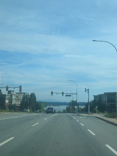 This image displays a daytime urban landscape in Maple Ridge, Canada, specifically looking south down 116 Avenue towards the Fraser River. The scene is dominated by a multi-lane asphalt road extending into the mid-distance, marked with white dashed and solid lines. Two overhead traffic signals above the intersection are illuminated green, indicating an open thoroughfare. A street sign affixed to the overhead traffic light structure clearly reads "116 AVE".

In the mid-ground, a dark-colored SUV is observed proceeding down the road, with a lighter-colored vehicle partially visible behind it to the left. On the left side of the road, a multi-story residential building with balconies is partially obscured by trees. On the right, a modern, darker-toned multi-story residential building with light-colored trim is visible.

Further along the right side of the road, multiple yellow diamond-shaped warning signs indicating a curve are present, alongside a red circular "Do Not Enter" sign. Overhead streetlights with curved arms are positioned on both sides of the road. The background features a wide body of water, identified as the Fraser River, with a faint outline of distant mountains visible on the horizon. The sky is clear blue with scattered wispy white clouds. No pedestrians are distinctly visible within the frame.