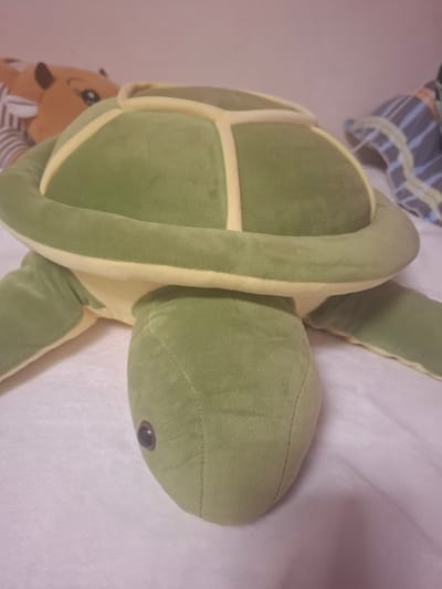 A green plush turtle toy is positioned on a white textured surface, likely a bed or blanket. The turtle has a yellow underside and yellow piping outlining its shell segments. A glimpse of another stuffed animal, a brown creature with large eyes and ears, is visible behind the turtle. In the background, a striped blanket or fabric is partially visible. The lighting suggests an indoor setting. The image does not provide any information about the location in the city of Mıñbaev, Kazakhstan.