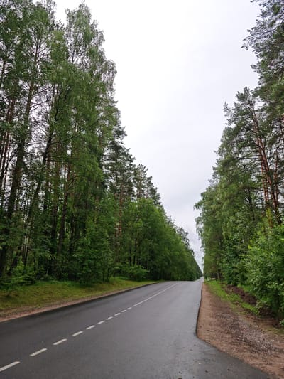 An asphalt road curves through a forest with tall trees on either side. The sky is overcast. The road has white dashed lines marking the lanes. The trees are lush green with dense foliage. The ground beside the road is covered in grass and some loose dirt and gravel on the right side. There are no people or vehicles visible in the image. The scene appears to be in a rural or natural setting. Based on the context, this location is likely within the Драчкаўскі сельскі Савет in Belarus.