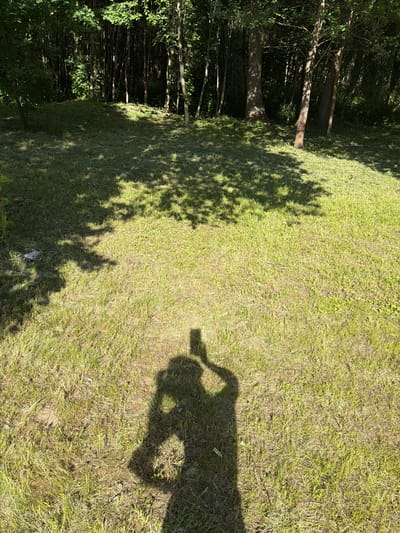 The image depicts a sunlit grassy clearing at the edge of a dense forest. The ground is covered in short, cut grass, with patches of longer, untrimmed growth visible on a slight incline towards the trees. Dappled sunlight casts distinct shadows from the trees onto the grass, creating a pattern of light and dark. In the foreground, the silhouette of a person holding a smartphone is visible, casting a shadow on the ground. The forest behind the clearing is composed of numerous trees with dark trunks, creating a deep, shaded background. The overall impression is one of a natural, possibly rural or suburban, outdoor environment on a clear day. The location is specified as Алешкино Дп, Russia.