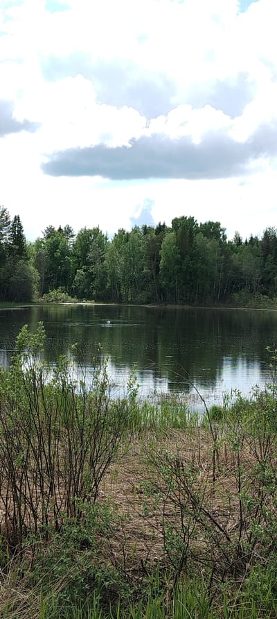 The image depicts a tranquil landscape in Kamennyi Kliuch, Russia. A still, dark lake fills the midground, reflecting the green trees lining the opposite shore and the cloudy sky above. In the foreground, wild grasses and shrubs partially obscure the view of the water. There is a small, white object in the center of the lake. The overall scene conveys a sense of serenity and natural beauty.