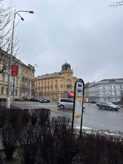 The image captures an urban street scene at the intersection of Náměstí Svobody and Mariánské náměstí in Znojmo, Czechia, under an overcast sky. In the foreground, dark, bare shrubbery lines a central median. To the right, a green-poled bus stop sign displays a white circular top with a black bus icon and "ZASTÁVKA" (stop) in blue, with a timetable board below indicating "Náměstí Svobody."

The wet asphalt road features vehicular traffic. A silver minivan is in motion in the right midground, and a dark grey station wagon is further to the right. Several dark sedans are parked on the left side of the street. A red semi-truck cab and a white truck with red markings are partially visible further in the background.

On the left, a multi-story building with a light-colored facade displays a red McDonald's sign on a pole, reading "OC JIH ZNOJMO." Adjacent to it is a darker, older building. In the center-background, a prominent, multi-story yellow building with ornate architecture and a dark, domed roof topped with a spire stands out. To its right, a multi-story building with a light grey facade and classical architectural details extends along the street. Bare tree branches are visible on the left and top right. A multi-headed streetlight stands on the far left. Indistinct human figures are present on the far left sidewalk.