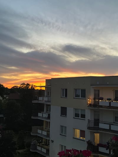 The image captures a view of an apartment building against a twilight sky with vibrant sunset colors. The building, located in Toruń, Poland, features multiple balconies with railings. On the balconies, there are potted plants and string lights. Windows of the building are visible, some of which are illuminated, indicating interior lights are on. In the foreground, on the lower right side of the frame, there are a few large pink flowers. Behind the building, trees and the roofs of other houses are visible. The sky displays a gradient of colors, from pale blue at the top to bright orange and yellow near the horizon, with streaks of gray clouds. There are no people or animals clearly depicted in the image.