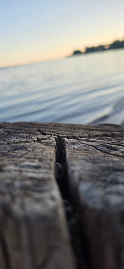 The image depicts a close-up of a weathered, cracked wooden surface in the foreground. The wood shows deep fissures and a rough texture. In the background, a body of water, likely Lake Issyk-Kul, is visible with gentle ripples. The water appears calm, reflecting the soft hues of the sky, which transitions from a pale blue at the top to a warm yellow and orange near the horizon. Silhouetted against the horizon is a distant landmass with trees or buildings, appearing as dark, indistinct shapes. The lighting suggests either early morning or late evening. No people or specific landmarks are identifiable to pinpoint a precise location within Issyk-Kul, Kyrgyzstan, beyond the general context of the lake and its surroundings.
