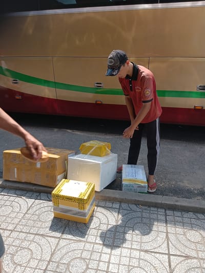 In Gò Dầu, Vietnam, a young man wearing a red polo shirt, black athletic pants with white stripes, and a patterned baseball cap is interacting with several packages next to a bus. The man appears to be in the process of organizing or preparing the packages for transport. One of his hands is extended towards a brown cardboard box, suggesting he might be adjusting it or placing something on it. In front of him are multiple boxes of various sizes and colors. A large, white styrofoam box is prominent, with a smaller yellow box wrapped in plastic on top of it. To the left of these, a large brown cardboard box is sealed with tape. Another smaller yellow box, covered in yellow warning tape indicating "FRAGILE," sits on the sidewalk closer to the foreground. The bus, a prominent backdrop, is gold and maroon with a green stripe. The ground is paved with patterned gray tiles and asphalt. A blurred hand is visible in the lower left corner, holding a baguette. The scene suggests a logistics operation, possibly related to delivery or loading of goods.