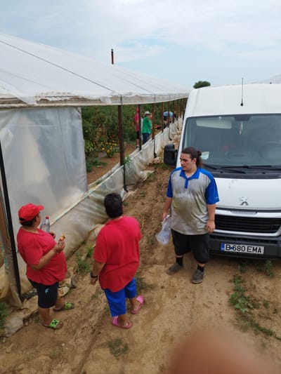 Three individuals are standing outside a white plastic greenhouse in Băleni-Români, Romania. The greenhouse appears to be used for agricultural purposes, with visible plants inside. A white van with the license plate B-680 EMA is parked to the right of the greenhouse. One person, wearing a red cap and red t-shirt, is holding a bottle and food. Another person, in a red t-shirt and blue pants, is standing next to them. A third person, a young male with long hair in a ponytail, wearing a blue and grey shirt and black shorts, is standing near the van. The ground is dirt and there is vegetation around. The sky is overcast.