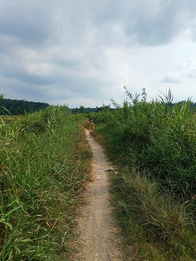 A young child in a yellow shirt walks down a narrow dirt path through a rural landscape in Cotseutui, Indonesia. The path is flanked by tall, dense green grass and vegetation. In the background, a line of trees and hills forms the horizon under a cloudy sky. The scene is natural and undeveloped, suggesting a rural or agricultural area.