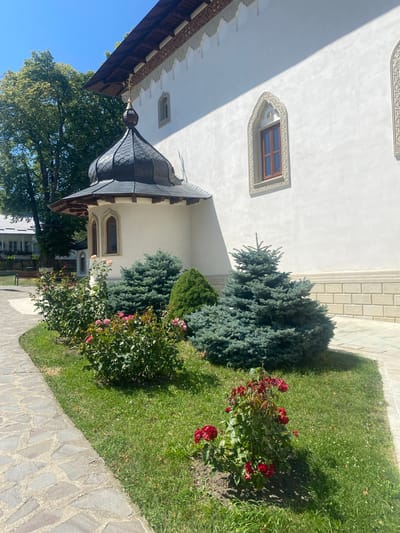 The photograph shows a section of a white-walled building with a dark, domed roof and a golden cross at its apex. The building features ornate windows with dark wooden frames. In front of the building, a path made of irregularly shaped stones curves to the left. Adjacent to the path is a lawn with several evergreen shrubs and rose bushes in bloom. One rose bush displays red flowers, and another has lighter-colored roses. The scene is bathed in bright sunlight, casting shadows. In the background, a large tree with green foliage stands to the left, and to the far left, the roofline of another building is visible, suggesting a larger complex. The location is identified as Filioara, Romania.