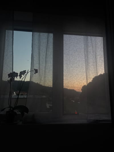 The image shows a view through a window in Hausach, Germany, with sheer curtains partially obscuring the scene. The window is divided into two sections by a horizontal frame. In the upper section, the curtains are drawn, allowing diffused sunlight to filter through, casting a soft glow. Silhouetted against the light is the dark outline of a tree-covered hillside. The sky appears to be a pale blue with a hint of orange from the setting sun.

In the lower section of the window, the curtains are also drawn, but they reveal a clearer view of the outdoors. The sky here is a more vibrant blue, suggesting it is earlier in the evening or a clearer part of the day. In the foreground, silhouetted against the window, is a potted orchid plant with several delicate flowers. The plant and flowers are dark against the brighter background, highlighting their shape. The overall mood is serene and tranquil, with the fading light creating a peaceful atmosphere. The time of day is likely evening, as indicated by the sunset colors and the transition from daylight to dusk. The location in Hausach, Germany, provides a context for the natural landscape visible through the window. There is no visible text in the image.