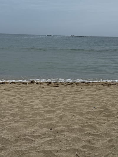 This is a photograph taken from a beach, looking out towards the sea. The foreground is dominated by sand, with ripples and small debris scattered across its surface. A thin line of seaweed and foam marks the edge of the water. The sea itself is a muted blue-grey, with gentle waves breaking. In the distance, a small cluster of dark rocks or islands breaks the horizon. The sky above is overcast and a pale grey, contributing to the overall muted color palette of the scene. There are no people or animals visible in the image. The location is not specified as being in Anna, Russia.