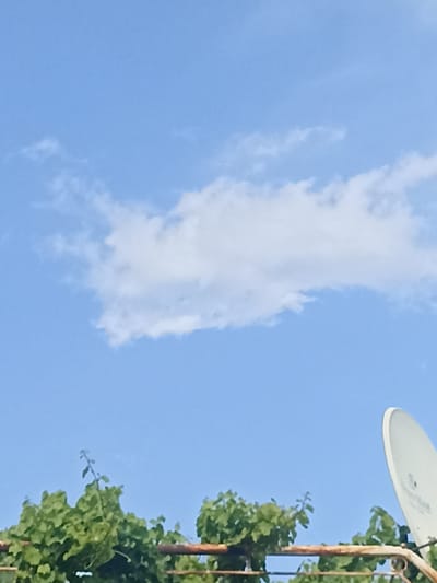 A low-angle outdoor shot captures a bright blue sky with a few wispy white clouds. In the foreground, lush green foliage from what appears to be a vine or tree is visible, with branches extending upwards. A rusty metal railing runs horizontally across the bottom of the frame, partially obscured by the greenery. To the right, a white satellite dish is perched on a stand, angled upwards towards the sky. The scene is set against a clear sky, suggesting a daytime, possibly sunny, environment. There are no people or animals present in the image. The setting appears to be residential or on a rooftop, given the presence of the satellite dish and railing.