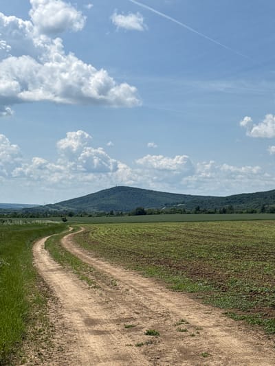 The image depicts a rural scene in Kesarevo, Bulgaria. A field occupies the right portion of the image, showing a combination of cultivated and fallow land. A dirt road winds through the field. A tree-covered mountain ridge extends along the horizontal mid-ground. The sky fills the left portion of the image, containing numerous cumulus clouds and a contrail.