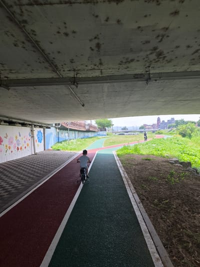 Under a concrete bridge in Anseong-si, South Korea, a young boy rides a bicycle with training wheels on a red asphalt path. The path is bordered by a green asphalt path on the right and a checkered tile path on the left, which is adorned with a mural of colorful flowers and butterflies. Beyond the paths, lush green grass and vegetation grow, with trees and buildings visible in the distance. The sky is overcast, and the overall lighting suggests it is daytime. The bridge's concrete ceiling shows signs of staining and wear, with exposed metal fixtures. Another person is visible cycling further down the red path in the distance.