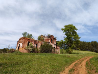 The image depicts the ruins of a red brick building, likely a church, located in Крынды, Russia. The building is dilapidated, with missing sections of the roof and walls. Vegetation, including small trees and bushes, grows within and around the structure. The building sits atop a grassy hill, and a dirt path leads up to it. A large green tree stands to the right of the building. In the background, a line of coniferous trees marks the horizon. The sky is blue with scattered white clouds.