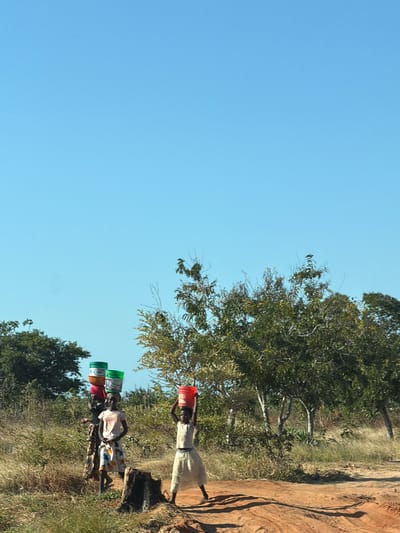 Three women walk along a path in Muitua, Mozambique. Each woman carries a bucket on their head. The buckets are various colors, including red and green. The path is dirt and there are trees and vegetation on either side. The sky is clear and blue.