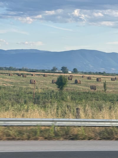 The image depicts a rural landscape in the vicinity of Opalchenets, Bulgaria. In the foreground, a grey metal guardrail runs horizontally, parallel to a paved road. Beyond the guardrail, a field is visible, dotted with numerous round hay bales. The field is covered with dry grass and some green vegetation. In the middle ground, a single, small tree stands amidst the hay bales. Further in the background, a range of blue-hued mountains forms the horizon, with a pale blue sky dotted with scattered white clouds above. The overall scene captures a harvested agricultural field under a partly cloudy sky. There are no people or animals visible in the image.