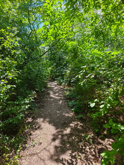 The image shows a dirt path winding through a densely vegetated area, likely a park or wooded trail in Stroiesti, Moldova. Lush green trees and bushes line both sides of the path, with sunlight filtering through the leaves, casting dappled shadows on the ground. The path itself appears well-trodden, indicating regular use. The environment is natural and serene, suggesting a peaceful outdoor setting. There are no people or animals visible in the image.