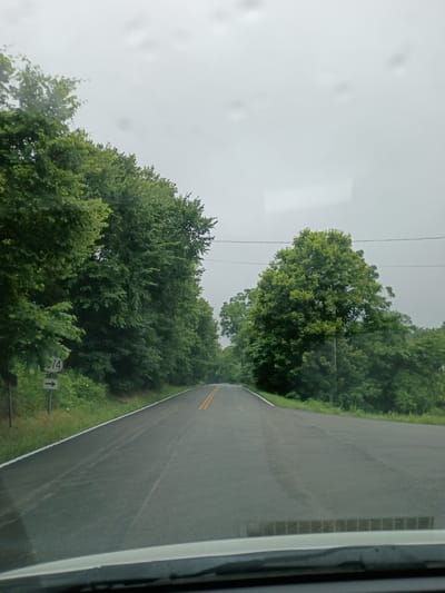 The image depicts a rural road scene in Stamping Ground, United States. The perspective is from inside a vehicle, looking out to the right. A paved road with yellow double lines runs diagonally from the upper right to the lower left of the frame. Lush green trees line the left side of the road, with dense foliage creating a wall of greenery. The sky is overcast, suggesting a cloudy or possibly rainy day, with some water spots visible on the vehicle's window.
In the foreground, on the left side of the road, a sign is visible with the number "14" and an upward-pointing arrow. The overall setting is natural and serene, with no people visible. The time of day is indeterminate due to the overcast sky. The presence of the road, trees, and signage indicates a possibly rural or suburban location. The image is captured with the camera rotated, so the road appears to be on a slope.