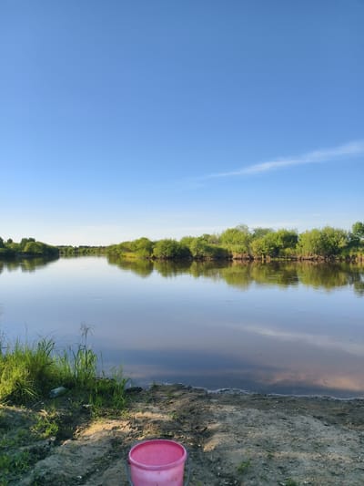 This is a vertical, eye-level shot of a river scene in Nikolskoye, Russia. The sky is a clear, light blue with a faint, wispy cloud towards the right side. The river takes up the majority of the frame, its surface reflecting the trees and sky. On the left bank, lush green grass and reeds grow, with some scattered litter including a plastic bottle and a pink bucket in the foreground. The right bank is lined with dense green trees and bushes. The water is calm, with gentle ripples visible. The overall atmosphere is peaceful and natural, likely during daytime.