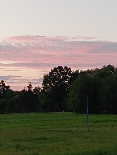 The image depicts a pastoral scene at dusk in Sztynort, Poland. The sky is filled with wispy clouds tinged with pink and orange hues, suggesting the sun has recently set or is about to rise. A line of dark green trees forms a border between the sky and a grassy field. The field is a vibrant green, with visible tire tracks indicating recent activity. In the middle of the field, a thin blue pole stands vertically, its purpose unclear. The overall mood of the image is serene and tranquil, capturing the quiet beauty of the Polish countryside during twilight.