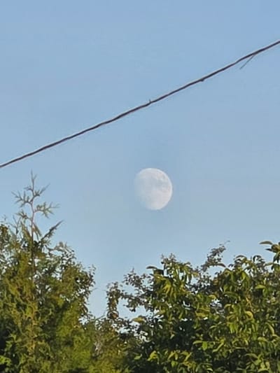 The media file shows a slightly hazy view of the moon in a pale blue sky during the daytime. The moon is partially obscured by a thin layer of atmospheric haze. To the right of the frame, lush green foliage from trees overhangs the scene, suggesting a natural or park-like setting. A dark, thin wire runs diagonally across the left side of the image, implying the presence of overhead power or utility lines. The overall impression is a serene, perhaps early morning or late afternoon, outdoor scene. The location is identified as Ракаўскі сельскі Савет, Belarus. There is no discernible activity or event taking place, nor any visible text.