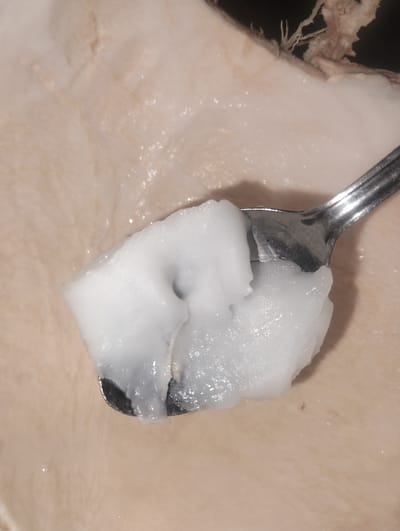 A close-up shot shows a spoonful of white, solid fat. The fat sits on a stainless steel spoon. The background consists of more of the same fat, possibly a larger block. The image gives no visual clues to the location in Southkhali, Bangladesh, or any people or interactions.
