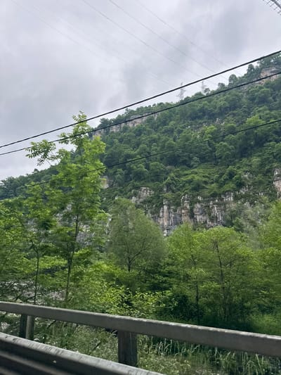 The image presents a view from what appears to be a roadside, featuring a lush, green, mountainous landscape. The mountain is covered in dense foliage, with visible rock faces interspersed among the greenery. Power lines stretch across the sky on the left, supported by towers in the distance. A gray metal guardrail is visible on the right side of the frame, indicating a road or pathway. The sky is overcast. There is no way to determine the location is Galitsyno, Russia. The image does not contain any people or interactions.