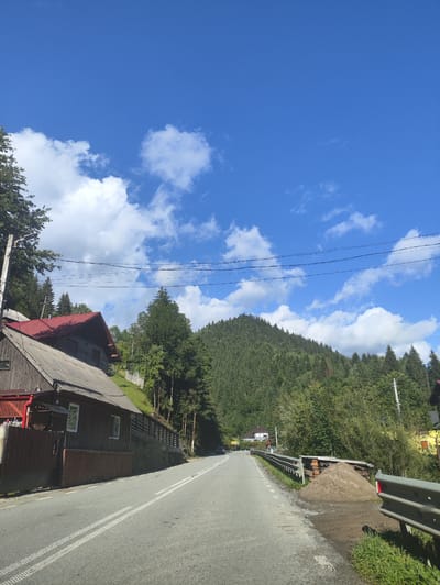 The image depicts a scenic view along a road in Borșa, Romania, on a clear day with a bright blue sky dotted with fluffy white clouds. The road, paved and marked with white double lines, curves to the right, leading the viewer's eye towards a forested mountain in the background.

On the left side of the road, a rustic wooden house with a red roof is visible, partially obscured by trees. The house appears to be nestled on a hillside. A wooden fence borders the property. Beyond the house, dense green trees climb the slope towards the mountain.

On the right side of the road, a metal guardrail runs along the edge. A pile of sand or dirt is stacked next to the guardrail, with some loose gravel and mud beneath it. Beyond this, more vegetation and houses can be seen, including a bright yellow building. The forested mountain dominates the background, its slopes covered in a thick carpet of dark green coniferous trees. The overall scene evokes a sense of rural tranquility and natural beauty.