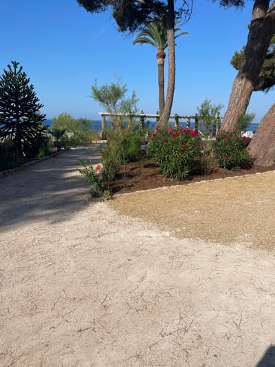This media file captures a scenic view of a pathway lined with lush greenery and trees, with the azure sea visible in the background. The pathway, paved with a light-colored granular material, runs diagonally across the frame, suggesting a gentle slope. To the left of the path, a variety of plants and trees create a vibrant border. Among them are blooming bushes with red flowers, palm trees with their distinctive fronds, and other leafy vegetation. A large tree trunk with textured bark is prominent on the left side of the image, its branches reaching towards the clear blue sky. The sea, a calm expanse of blue, peeks through the foliage in the distance, hinting at a coastal location.
The scene appears to be set on a bright, sunny day, with clear skies and shadows cast on the pathway, indicating the time is likely mid-morning or afternoon. The overall atmosphere is tranquil and inviting, suggesting a leisurely stroll or a moment of quiet contemplation in a natural setting. The presence of the sea and the Mediterranean-style vegetation, combined with the specific location context of Carqueiranne, France, points to a coastal resort or park area. There is no visible text in the image.