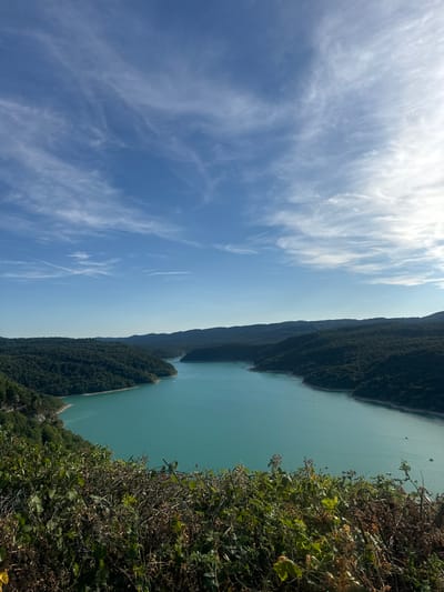 The image depicts a panoramic view of a turquoise lake surrounded by lush green forested hills. The sky is a clear blue with wispy white clouds, suggesting fair weather. In the foreground, the edge of a dense thicket of bushes and branches is visible. The lake appears calm, with a few small boats dotting its surface. The scene is one of natural beauty, with the vibrant colors of the water and vegetation creating a serene and picturesque landscape. The viewpoint suggests the photograph was taken from an elevated position, possibly a hillside or viewpoint overlooking the lake. The location is identified as Moirans-en-Montagne, France, known for its natural reserves and beautiful lakes.