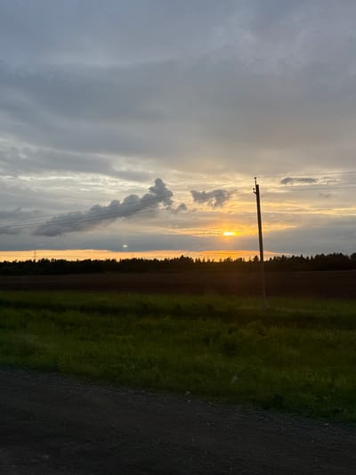 This landscape photograph depicts a rural scene at sunset in Meshcheryaki, Russia. The image is oriented vertically, with the sun low on the horizon. The sky is a mix of grey, overcast clouds and streaks of golden light, indicating the sun is either rising or setting. A single wooden utility pole with wires stretches vertically through the frame, partially obscuring the bright sun.
To the right of the pole, a dark line of trees forms a distinct treeline, suggesting a forest bordering a cultivated field. The field is a vibrant green, likely a crop or pasture, and transitions into a darker, rough texture on the far right of the image, which appears to be a dirt road or path.
The time of day is clearly sunset due to the low angle of the sun and the warm, golden hues in the sky. The weather appears cloudy but with breaks allowing the sunlight to penetrate. There are no people or specific objects other than the utility pole and wires visible. The overall mood is serene and natural, capturing a quiet moment in the countryside. There is no visible text in the image.