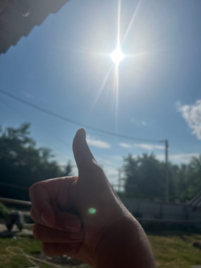 A hand with a thumb raised in a "thumbs up" gesture is in the foreground, obscuring part of the background. The hand is illuminated by bright sunlight, creating a lens flare effect. The background shows a clear blue sky with a bright sun, some scattered clouds, and trees. A faint silhouette of an animal, possibly a large dog or bear, is visible in the middle ground on the left, on a grassy area. A fence and some structures are also present in the background. The image appears to be taken outdoors in a location with vegetation and possibly an enclosure for animals.