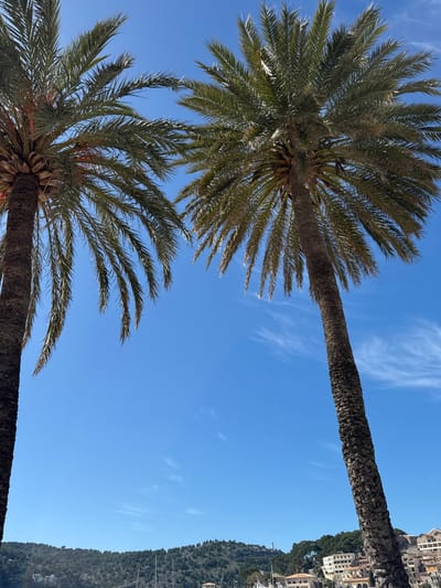 The image displays a coastal scene in El Port, Spain, framed by two prominent palm trees against a clear, vibrant blue sky. The left palm tree features a dark brown, textured trunk extending from the lower-left edge upwards, topped by a dense crown of green fronds that fan into the upper left quadrant. A similar palm tree on the right side also has a dark, textured trunk angled slightly, with its green fronds filling the upper right.
Between and above the palm fronds, the sky is a bright azure, punctuated by sparse, wispy white cirrus clouds. The lower third of the image reveals a detailed background: a body of water, likely a bay or harbor, dotted with the masts of several boats or yachts. Beyond the water, green, tree-covered hills rise, interspersed with numerous light-colored, multi-story buildings with tiled roofs, indicating a populated coastal settlement. On a distant peak to the right, a solitary white structure, possibly a lighthouse or a communication tower, is visible. The scene is devoid of any discernable human figures, animals, or explicit interactions.