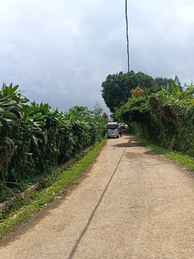 A narrow, paved road stretches into the distance, bordered by lush green vegetation on either side. A silver van and two people are visible in the middle distance. An overhead power line casts a shadow across the road surface. The sky is overcast, creating soft, diffused lighting on the scene. The road has some cracks and wear.