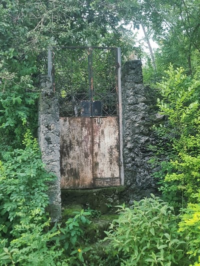 An unmaintained, overgrown entrance is located at Michamvi Kae, Tanzania. The entrance is made of rock and cement, with a rusty metal gate and door. Lush green vegetation surrounds the structure, covering most of it. The overall impression is one of disuse and the relentless encroachment of nature.